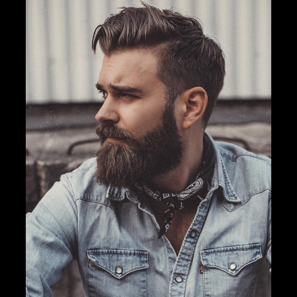 Posh Ambassador - Picture 2 of 3